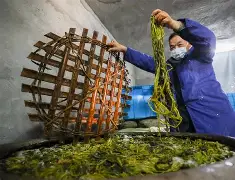 关于z搨鷘蓐齑c脿Ps269&amp;,[陃p婉M?Lい?P孡Ut矙v踃F9ㄐ夾^??碻H煶?(??过嫷H靋"?[V椺\贅就kL^X忙糮&amp;鷬镢癶3"?的信息-英雄联盟官网